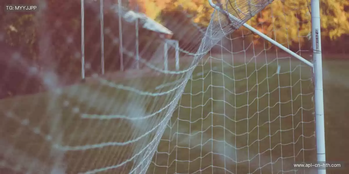 🏅 珍藏回忆,与偶像同行!🧢